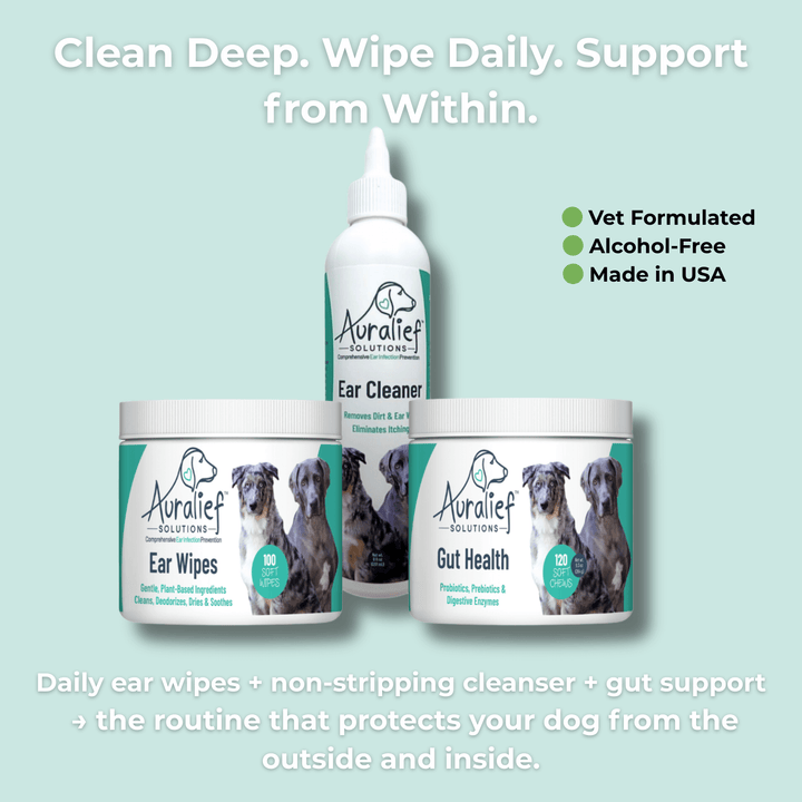 Gentle Ear Cleaner for Dogs — 4-Ingredient Formula to Support a Healthy Ear Environment