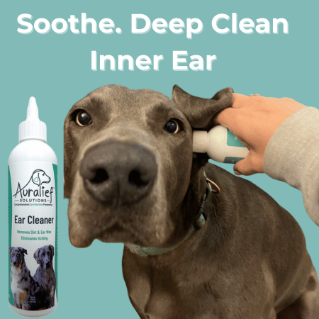 Gentle Ear Cleaner for Dogs — 4-Ingredient Formula to Support a Healthy Ear Environment
