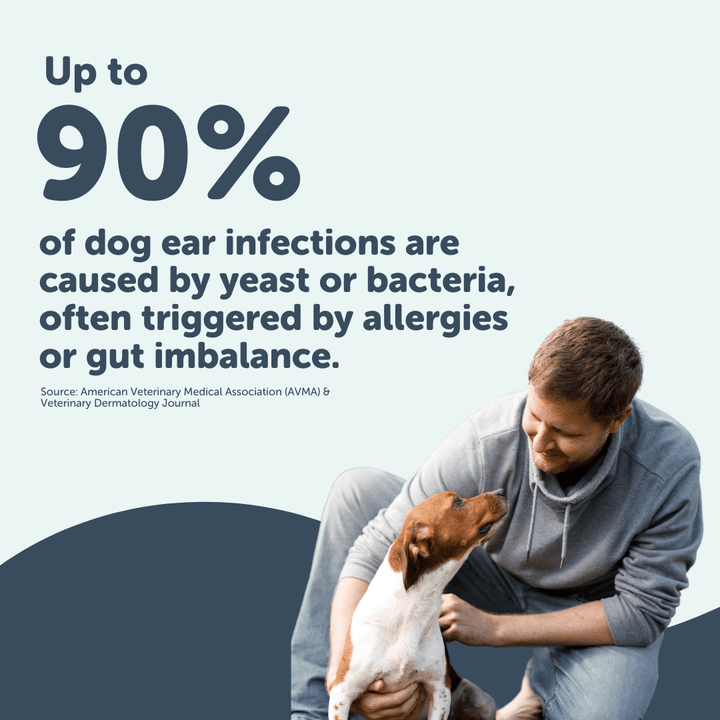 Comprehensive Ear Care Bundle – Cleaner, Wipes & Gut Health Chews (Save 25%)