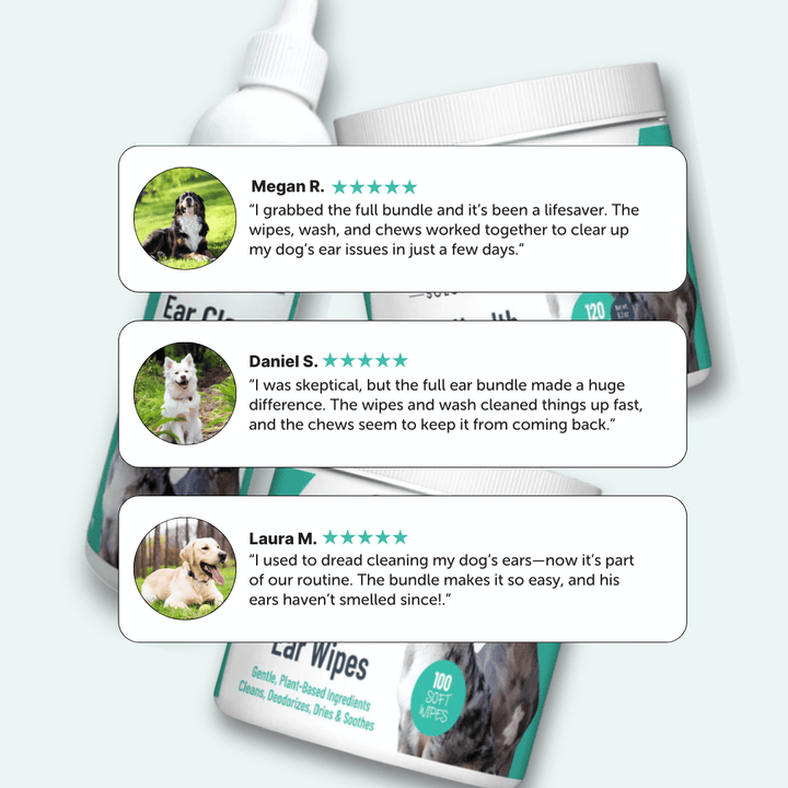Comprehensive Ear Care Bundle – Cleaner, Wipes & Gut Health Chews (Save 25%)