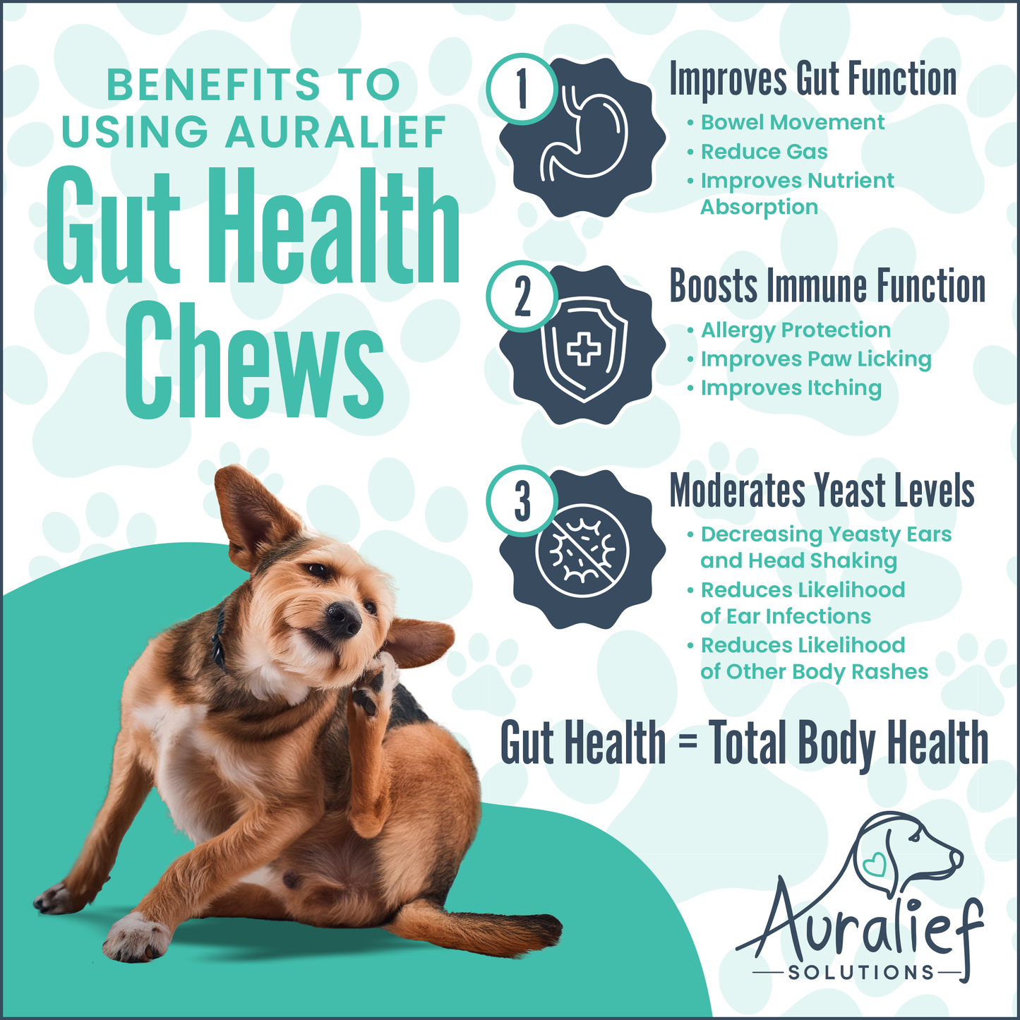 3 Month Supply for Large Dogs- Gut Health Chews- Probiotics, Prebiotics & Digestive Enzymes