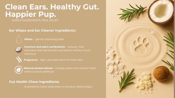 Comprehensive Ear Care Bundle – Cleaner, Wipes & Gut Health Chews (Save 25%)