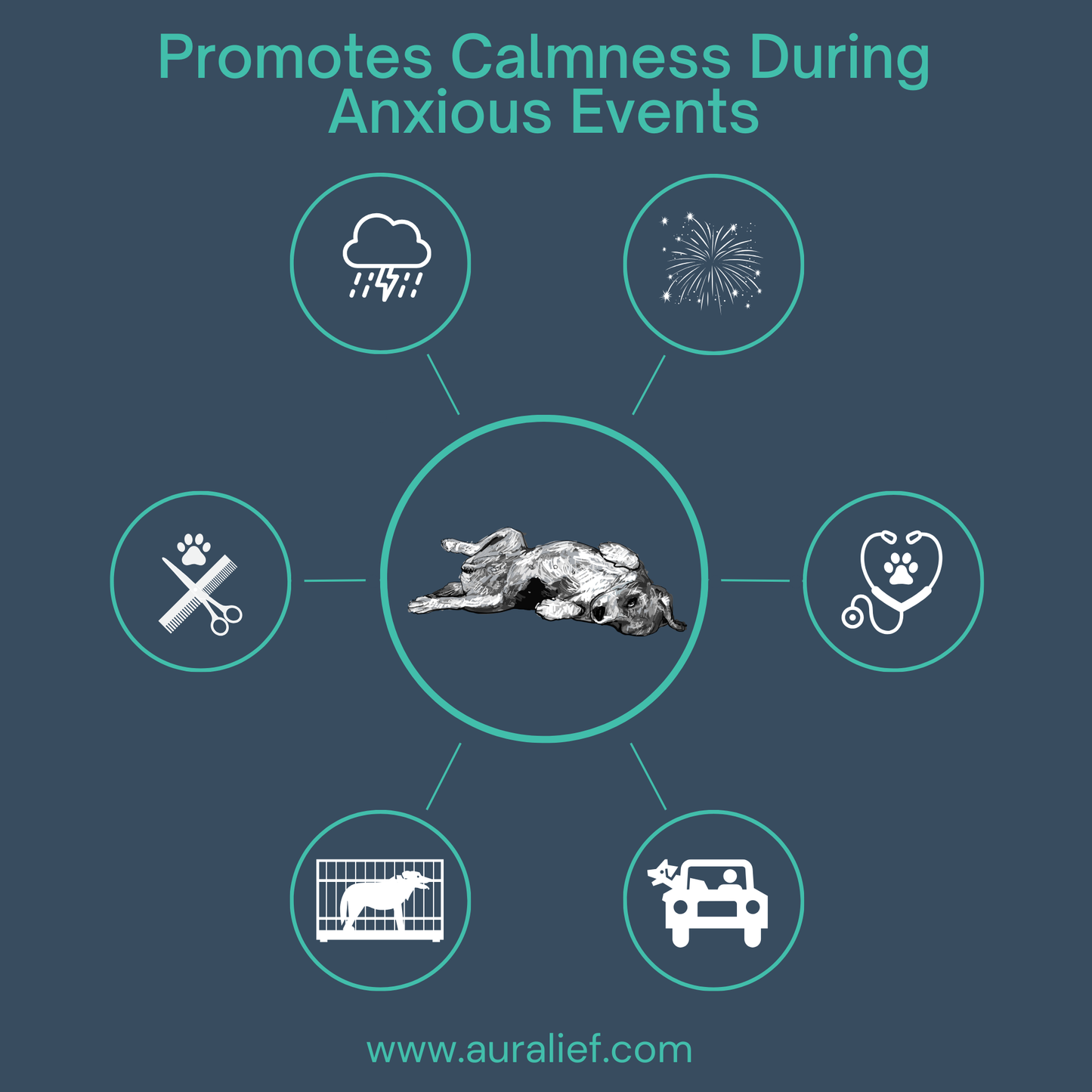 Promotes calmness during anxious events