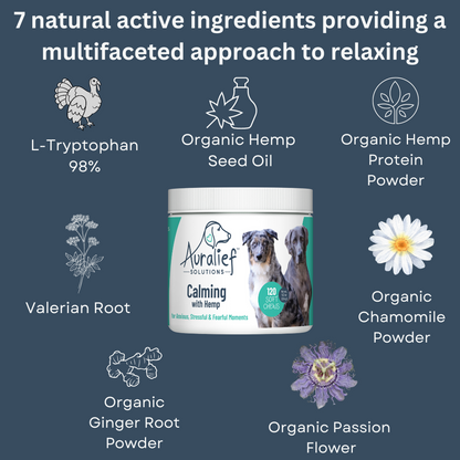 Calming Chews with Hemp