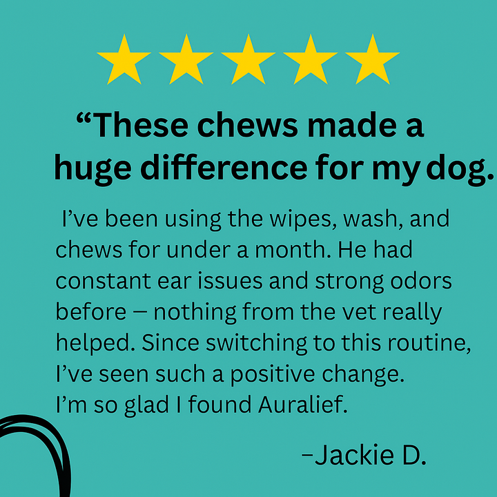 Big Dog Lovers Bundle – Large-Breed Probiotic & Enzyme Chews — Daily Digestive Support for Dogs 75+ lbs