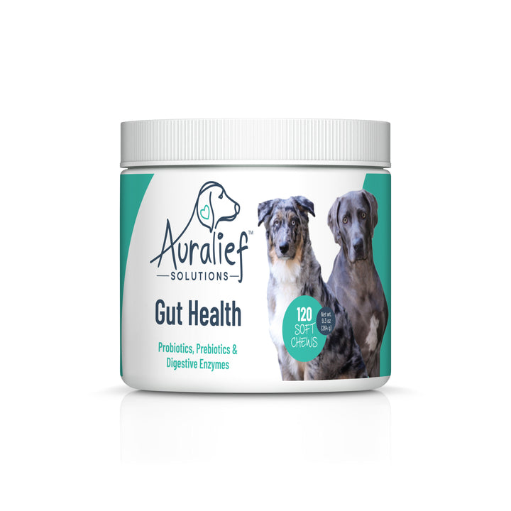 Daily Probiotic & Enzyme Chews — Gentle Digestive Support for Dogs