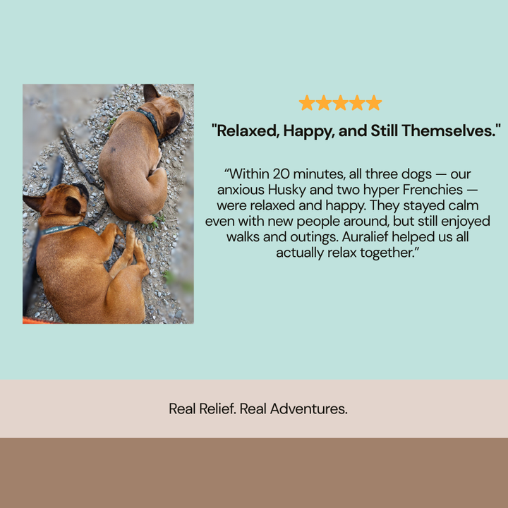 	Testimonial image praising Auralief dog supplements