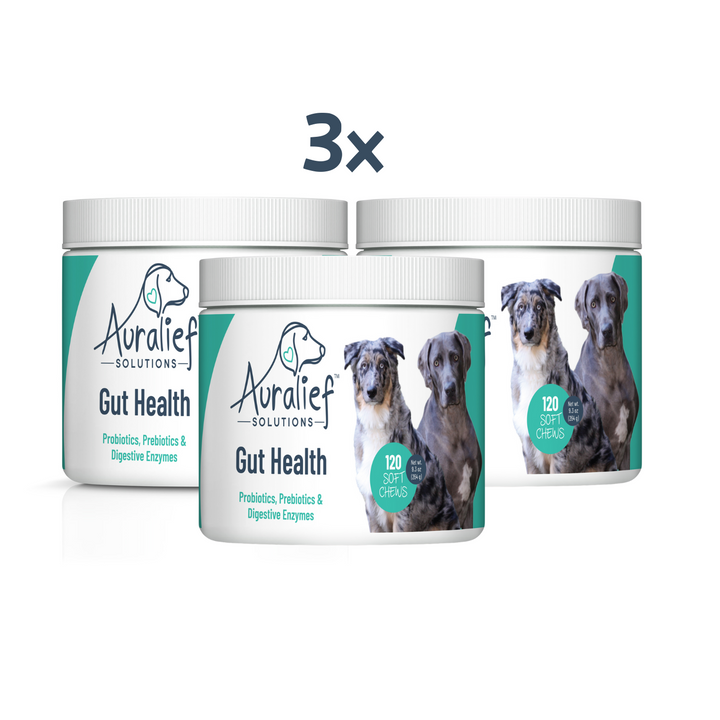 Big Dog Lovers Bundle – Large-Breed Probiotic & Enzyme Chews — Daily Digestive Support for Dogs 75+ lbs